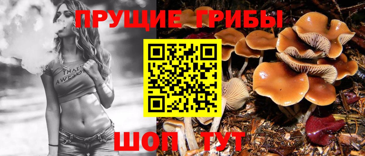 Галлюциногенные грибы Magic Shrooms Красноуфимск