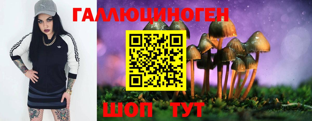 Псилоцибиновые грибы прущие грибы  где купить   Красноуфимск  Вход с VPN 